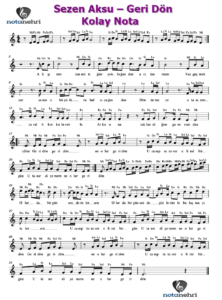 Sezen Aksu – Geri Dön Piyano, Keman, Flüt, Melodika, Org Notaları