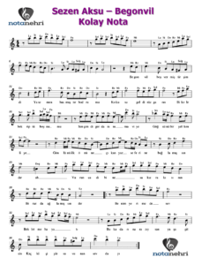 Sezen Aksu – Begonvil Keman, Melodika, Flüt, Org Notaları